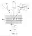 Fig. 14 - Use of vibrational spectroscopy for DNA content inspection