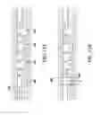 Fig. 16 - Use of vibrational spectroscopy for DNA content inspection