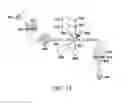 Fig. 22 - Use of vibrational spectroscopy for DNA content inspection