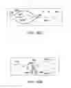 Fig. 34 - Use of vibrational spectroscopy for DNA content inspection