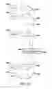 Fig. 37 - Use of vibrational spectroscopy for DNA content inspection