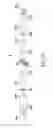 Fig. 41 - Use of vibrational spectroscopy for DNA content inspection