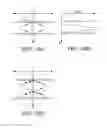 Fig. 44 - Use of vibrational spectroscopy for DNA content inspection