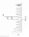 Fig. 46 - Use of vibrational spectroscopy for DNA content inspection