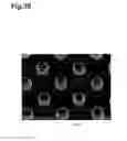 Fig. 37 - Surface-enhanced raman scattering unit, and method for using same