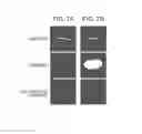 Fig. 08 - INSPECTION APPARATUS AND ARTICLE MANUFACTURING METHOD