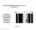 Fig. 09 - Small molecule biochemical profiling of individual subjects for disease diagnosis and health assessment