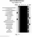 Fig. 12 - Small molecule biochemical profiling of individual subjects for disease diagnosis and health assessment
