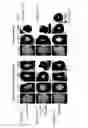 Fig. 02 - CONTRACTILITY ASSAY