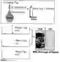 Fig. 07 - Global proteomic screening of random bead arrays using mass spectrometry imaging