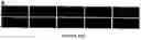 Fig. 19 - Global proteomic screening of random bead arrays using mass spectrometry imaging