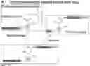Fig. 21 - Global proteomic screening of random bead arrays using mass spectrometry imaging