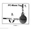 Fig. 37 - Global proteomic screening of random bead arrays using mass spectrometry imaging