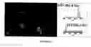 Fig. 45 - Global proteomic screening of random bead arrays using mass spectrometry imaging
