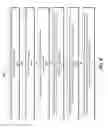 Fig. 07 - ALLOGRAFT REJECTION TEST