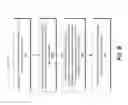 Fig. 09 - ALLOGRAFT REJECTION TEST
