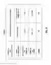 Fig. 10 - ALLOGRAFT REJECTION TEST