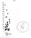 Fig. 08 - METHODS AND COMPOSITIONS FOR ASSAYING BLOOD LEVELS OF LEGUMAIN