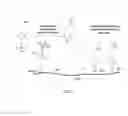 Fig. 07 - Quinone methide analog signal amplification
