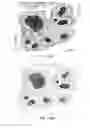 Fig. 15 - Quinone methide analog signal amplification