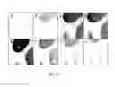 Fig. 23 - Quinone methide analog signal amplification