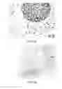Fig. 25 - Quinone methide analog signal amplification