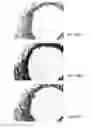 Fig. 29 - Quinone methide analog signal amplification