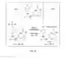 Fig. 32 - Quinone methide analog signal amplification