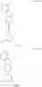 Fig. 02 - Chromophoric structures for lanthanide chelates