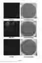 Fig. 08 - Method for detecting antibody-secreting B cells specific for HLA