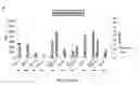 Fig. 19 - Method for detecting antibody-secreting B cells specific for HLA