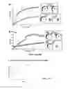 Fig. 19 - Immobilized protein system for rapid and enhanced multiplexed diagnostics