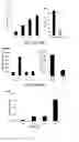 Fig. 23 - Immobilized protein system for rapid and enhanced multiplexed diagnostics