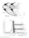 Fig. 08 - Opto-mechanical physical sensor with an improved sensitivity