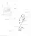 Fig. 16 - Method and apparatus for using gestures to control a laser tracker