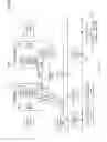 Fig. 06 - Vision and radio fusion based precise indoor localization