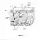 Fig. 02 - Ultrasonic imaging devices and methods