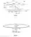 Fig. 08 - Etendue-preserving light coupling system having light output aperture smaller than light input aperture