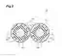 Fig. 04 - Optical fiber ribbon