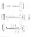 Fig. 11 - Optical image capturing system