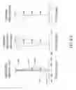 Fig. 31 - Optical image capturing system