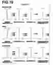 Fig. 11 - REAR CONVERTOR LENS AND IMAGING APPARATUS