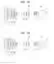 Fig. 11 - Zoom lens and image pickup apparatus including the same