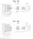 Fig. 14 - Zoom lens and image pickup apparatus including the same
