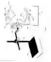 Fig. 06 - SYSTEM AND APPARATUS FOR ILLUMINATING A SPECIMEN