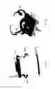 Fig. 08 - SYSTEM AND APPARATUS FOR ILLUMINATING A SPECIMEN