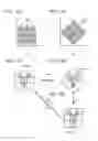Fig. 12 - Imaging device, image processing device, image processing method, and microscope