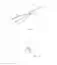 Fig. 05 - Lightguide Assembly