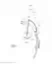 Fig. 06 - Wearable high resolution audio visual interface
