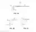Fig. 04 - Eyewear supporting embedded electronic components